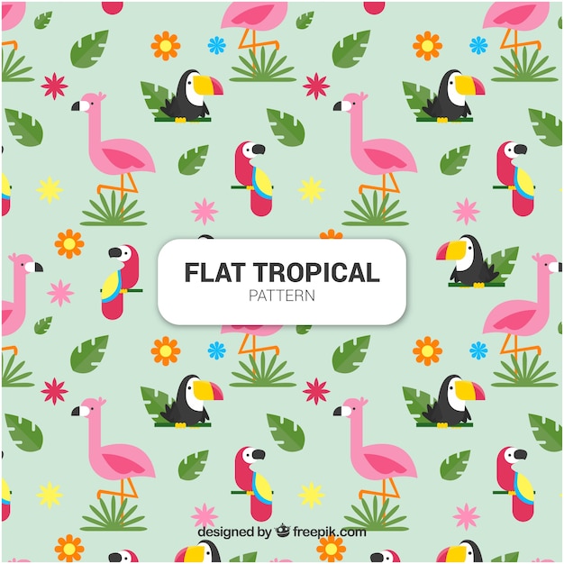 Set of tropical patterns with birds in flat\
style