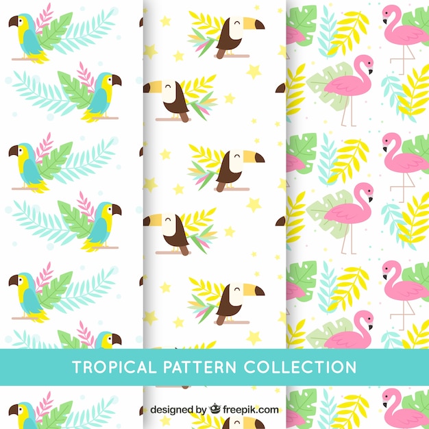 Set of tropical patterns with different birds\
in flat style
