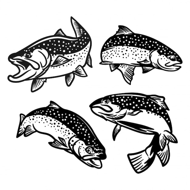 釣りロゴのためのトラウトフィッシュのイラストのセット プレミアムベクター