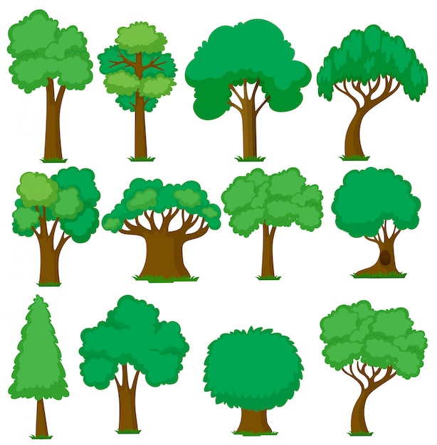 Png Tree Vectors, Photos and PSD files | Free Download