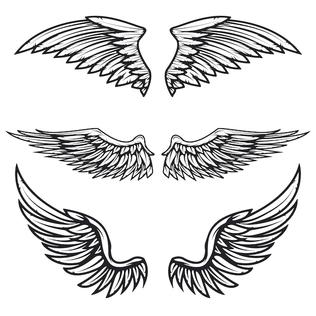 白い背景の上のヴィンテージの翼のセットです ロゴ ラベル エンブレム 記号 ブランドマークの要素 プレミアムベクター