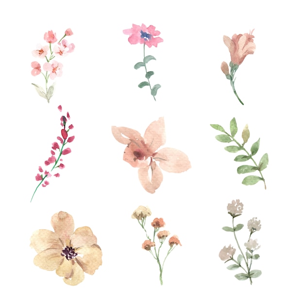 水彩花のつぼみ 手描きのイラストのセット 無料のベクター