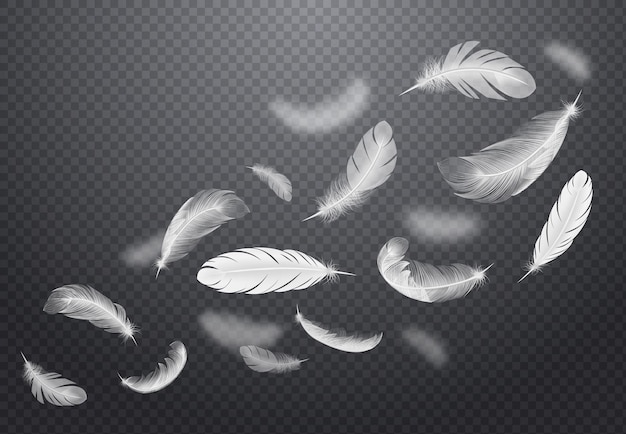 リアルなスタイルのイラストで暗い透明に白い落下鳥の羽のセット 無料のベクター