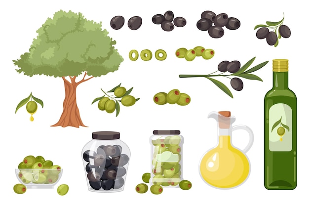 Premium Vector Set Olive Products Branches Tree And Oil In Jug And Bottle Green Or Black 