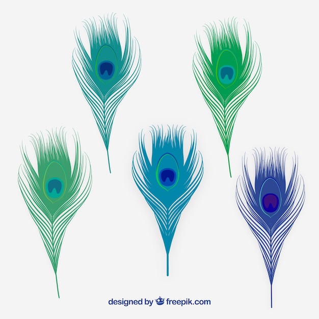 Download Free Vector | Set of peacock feathers