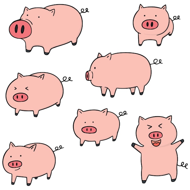 Premium Vector | Set Of Pigs