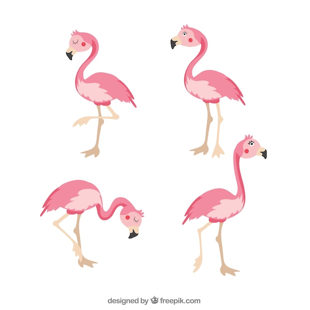 Free Vector | Set of pink flamingos with different poses