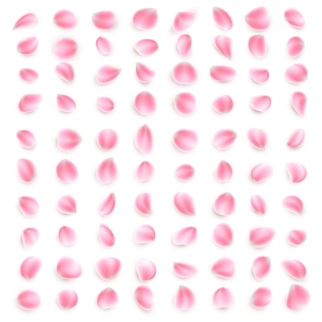 Premium Vector | Set of pink rose petals close-up on white background ...