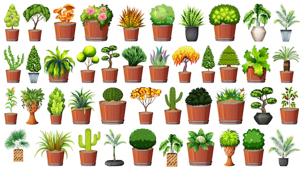 Download Free Vector | Set of plant in pot