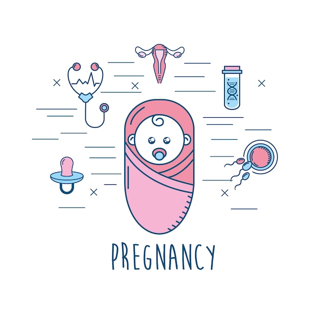 Set pregnancy  fertilization  process  to biology 