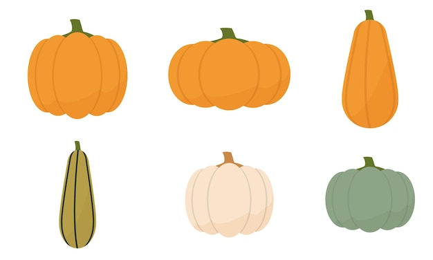 Premium Vector | Set of pumpkins of different shapes and different colors.