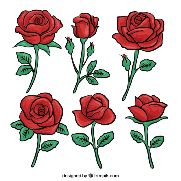 Free Vector Set of red roses hand drawn