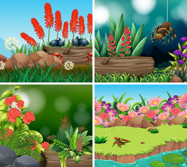 Premium Vector | Set scene with nature theme illustration