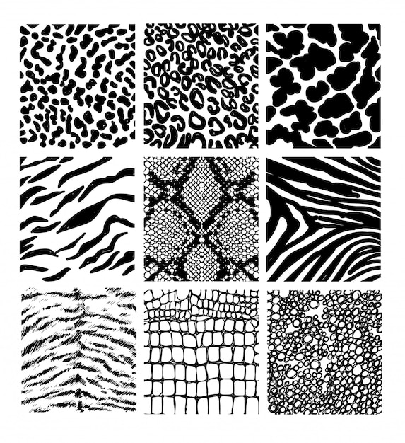 Set of seamless animal print pattern black and white | Premium Vector