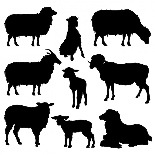 Set sheep silhouettes collection isolated on white | Premium Vector