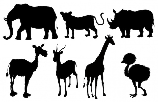 Download Free Vector Set Of Silhouette Exotic Animals