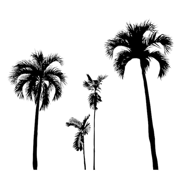 Download Premium Vector | Set of silhouette realistic palm tree