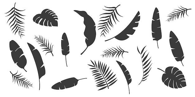 シルエットの葉を設定します 熱帯モノクロの葉は 白い背景で隔離のコレクションです パーム ファンパーム モンステラ バナナ 黒と白の色のイラスト プレミアムベクター