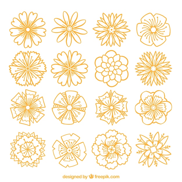 Free Vector | Set of sketches of flowers