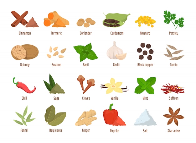 Set of spices  isolated. Premium Vector
