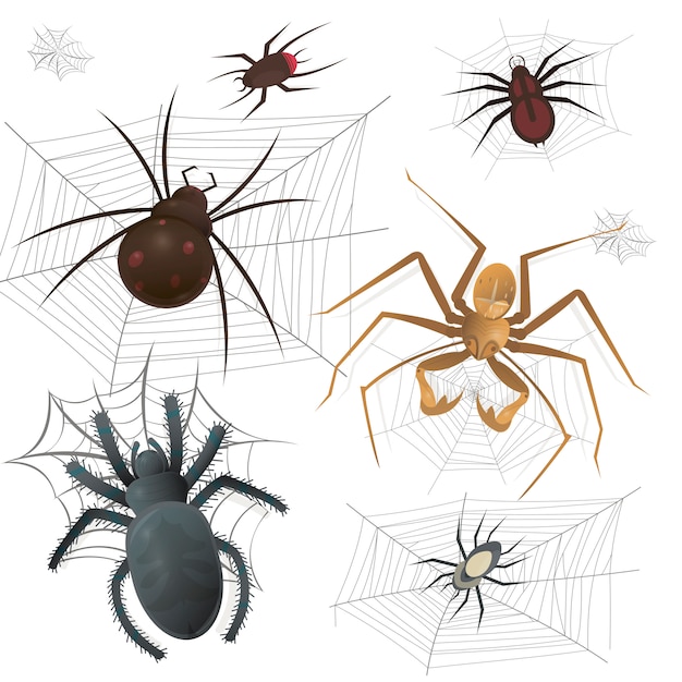 Set of spiderweb with spiders Premium Vector