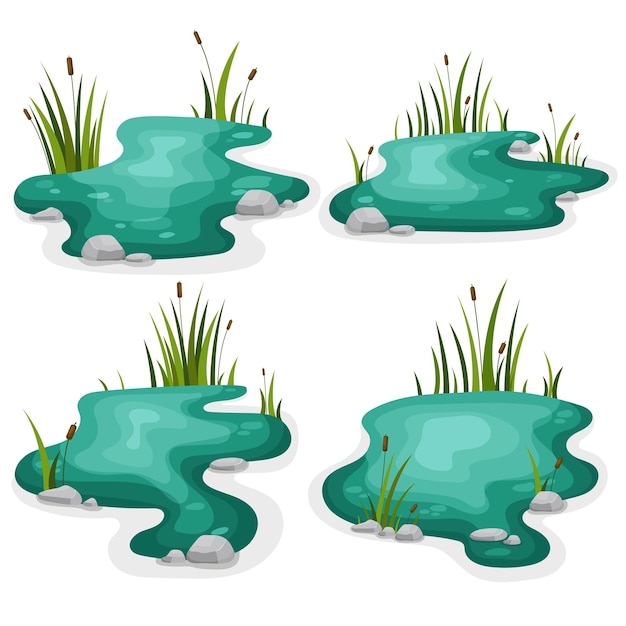 Premium Vector | Set swamp with reeds on a white background vector ...