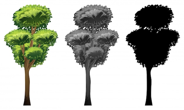 Free Vector | Set of tree design