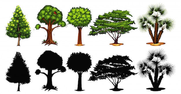 Set of tree and shadow | Free Vector