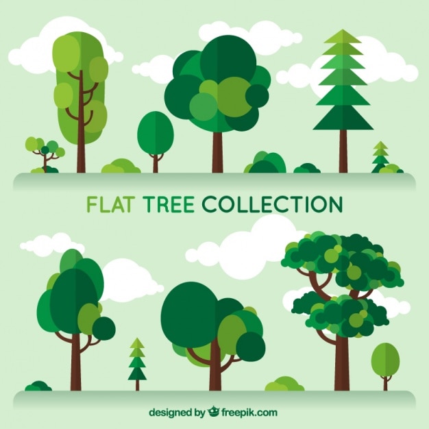 diversity tree vectors photos and psd files free download most popular types of christmas trees