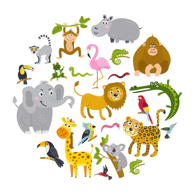 Premium Vector | Set of tropical animals in a circle