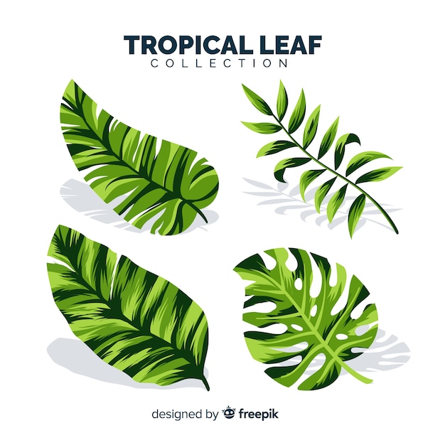 Free Vector | Set of tropical leaves with flat design