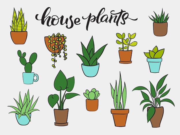 Premium Vector | Set vector of houseplants in pots. hand drawn cartoon ...