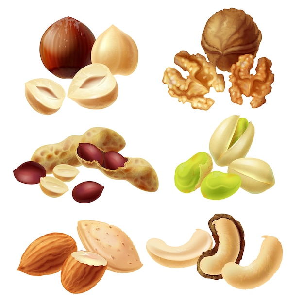Set vector icons of nuts Free Vector