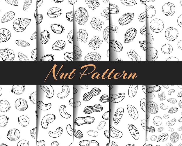 Set of vector patterns different kinds of nuts. Premium Vector