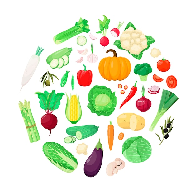 Premium Vector | A set of vegetables on a white background cartoon design