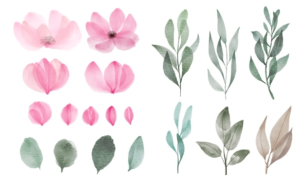 Watercolor Flowers Images Free Vectors Stock Photos Psd