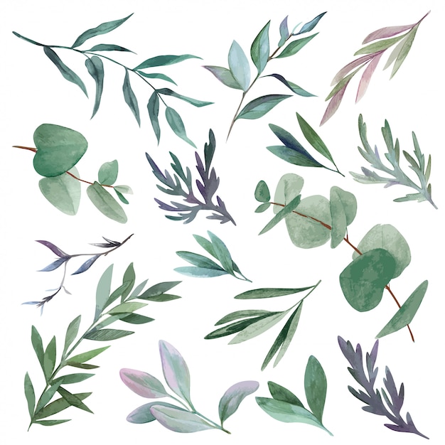 Download Set of watercolor leaves and branches, hand drawn greenery ...