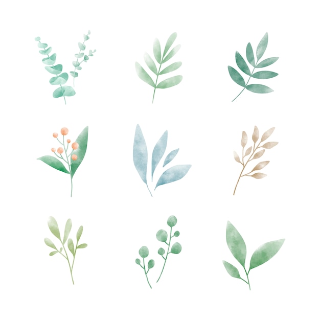 Download Set of watercolor leaves vectors Vector | Free Download