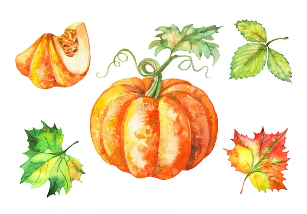 Premium Vector | Set of watercolor pumpkin and autumn leaves.