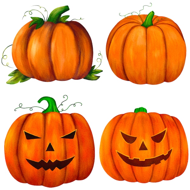 Download Set of watercolor pumpkins isolated | Premium Vector