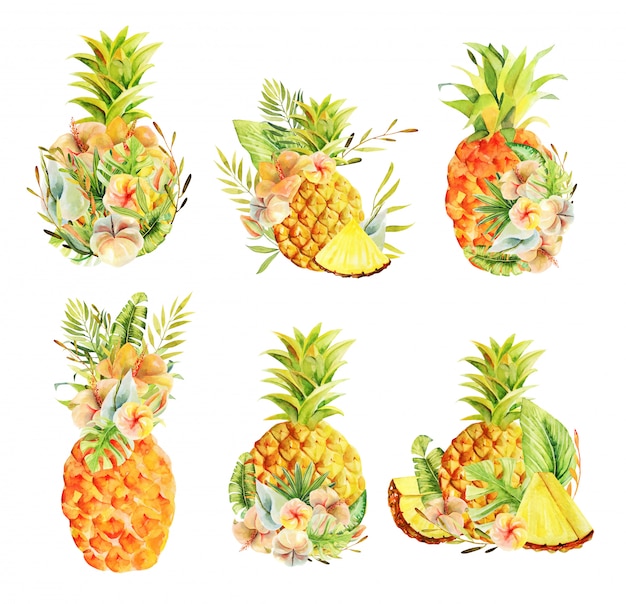 Download Premium Vector | Set of watercolor whole pineapple and ...