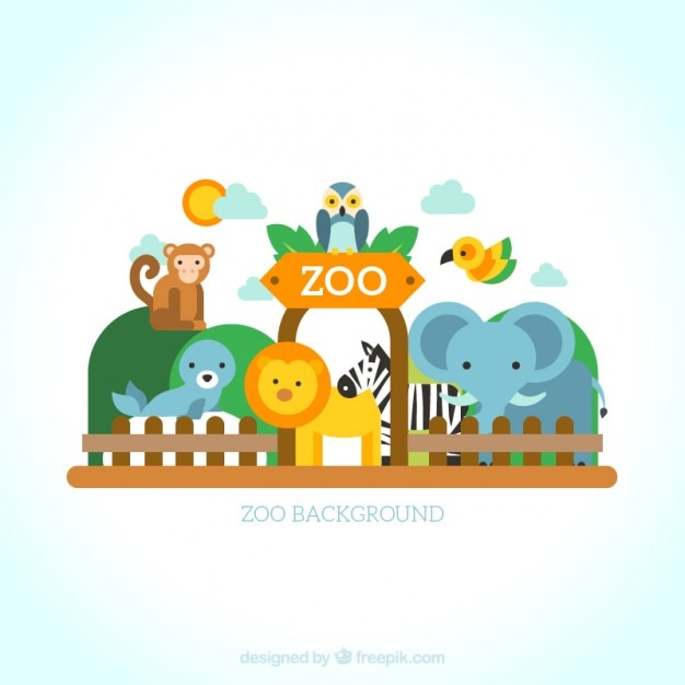 Картинка для детей zoo