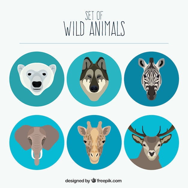 Free Vector | Set Of Wild Animals