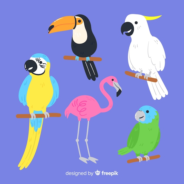 Set of wild birds: toucan, parrot, flamingo Free Vector