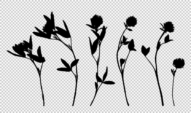 Premium Vector Set Of Wild Herbs Silhouettes