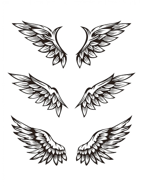 Download Free Set Of Wing Illustration Premium Vector Use our free logo maker to create a logo and build your brand. Put your logo on business cards, promotional products, or your website for brand visibility.