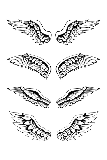 Premium Vector | Set of wing illustration