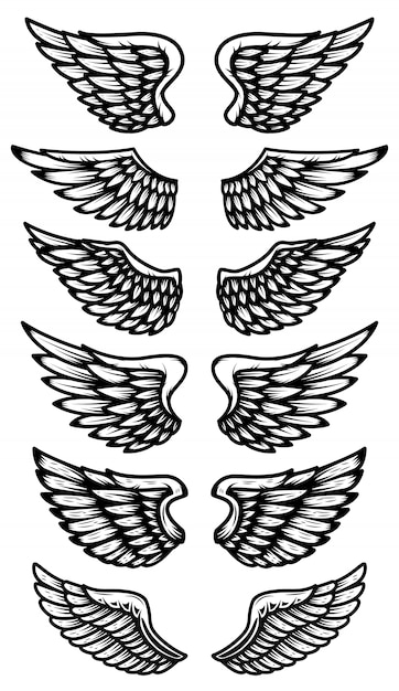 Premium Vector | Set of wings isolated on white