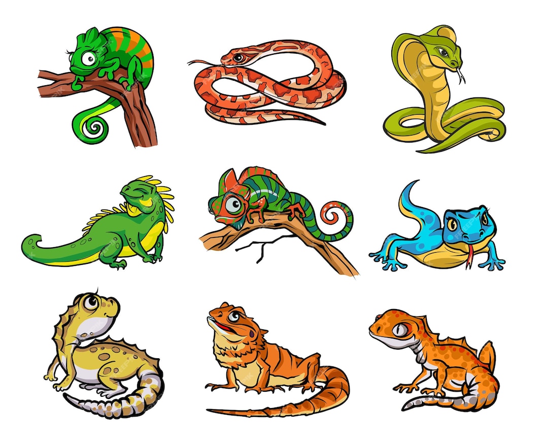 Premium Vector | Set with beautiful different cartoon reptiles ...