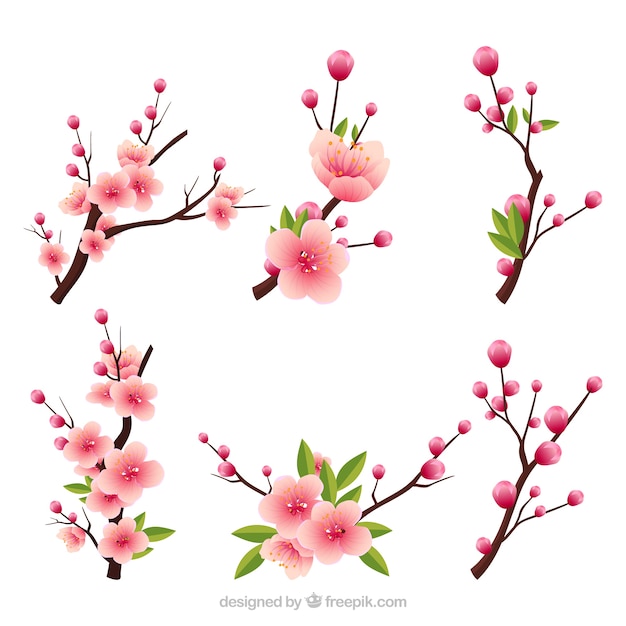 Free Vector | Several blooming branches in realistic style